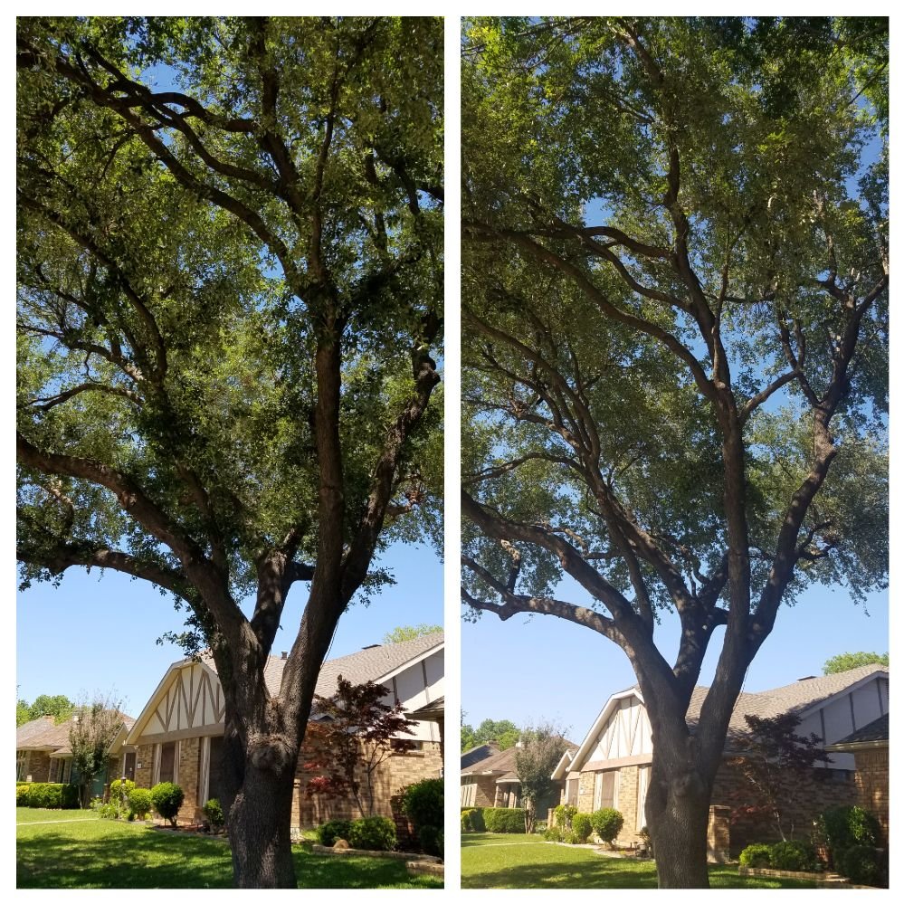 Lucky'sTree Service