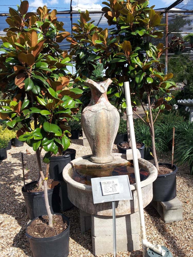 Plants & Planters 28 Photos & 10 Reviews Nurseries & Gardening