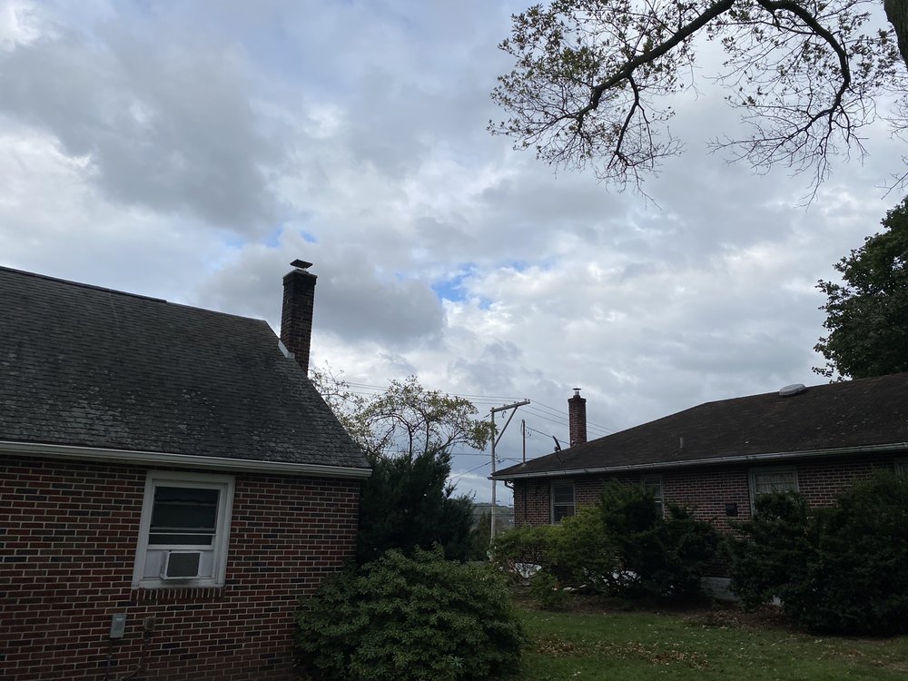 W&N Tree Service