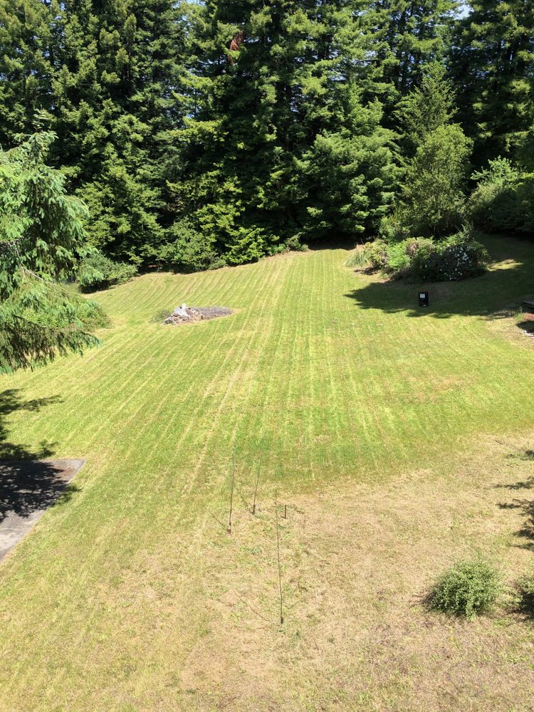 Lawn-Believable