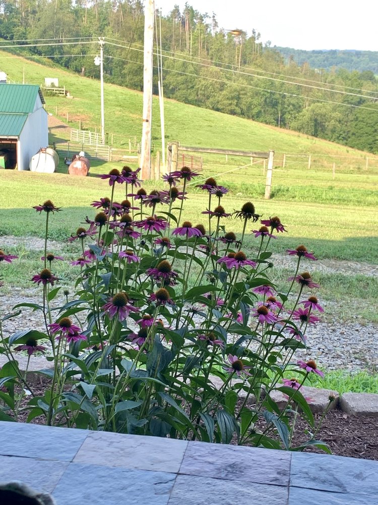 EarthCraft Landscaping