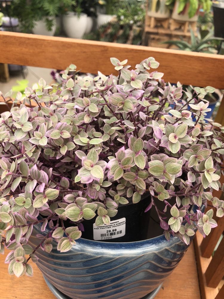 New Garden Landscaping & Nursery