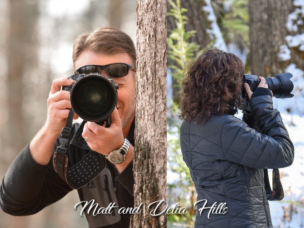 M&D Hills Photography