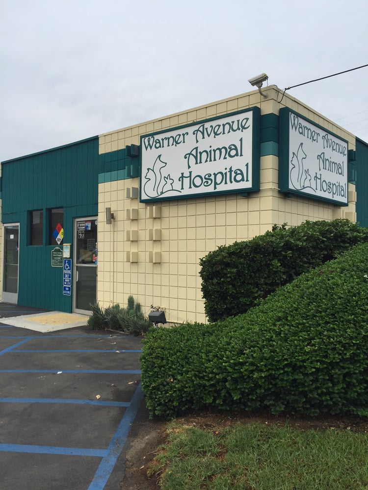 Warner Avenue Animal Hospital 8546 Warner Ave Fountain Valley Ca 92708