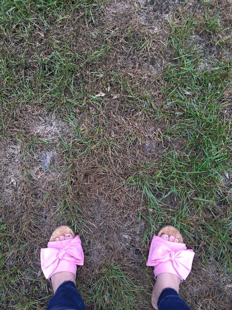 Grassworks