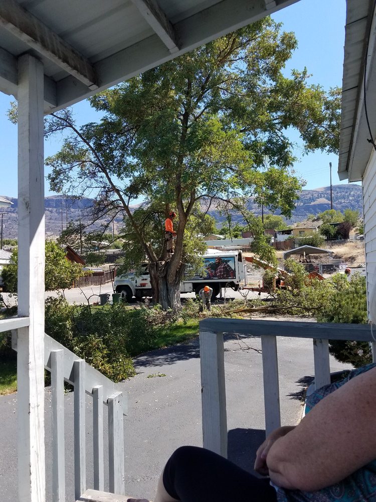 Paul Bunyan Tree Service