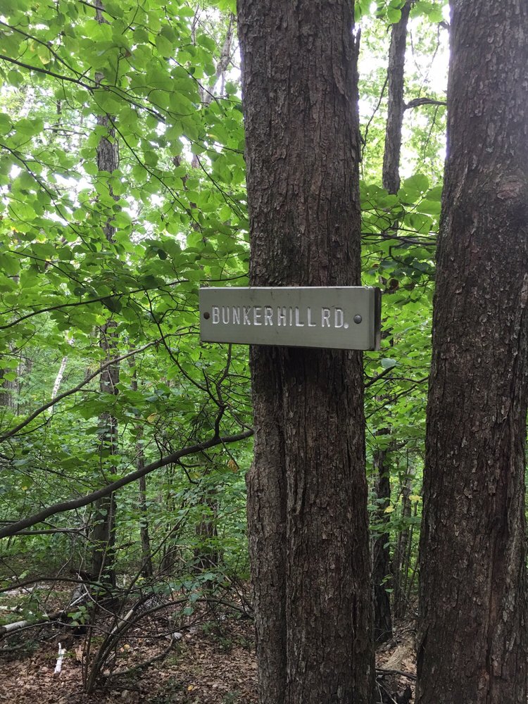 Bear Mountain 31 Photos & 10 Reviews Hiking Salisbury, CT Yelp