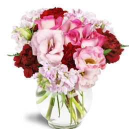 maria s lyndhurst florist 14 fotos florer 237 as 341 ridge rd lyndhurst nj estados unidos maria s lyndhurst florist 14 fotos florer 237 as 341 ridge rd lyndhurst nj estados unidos