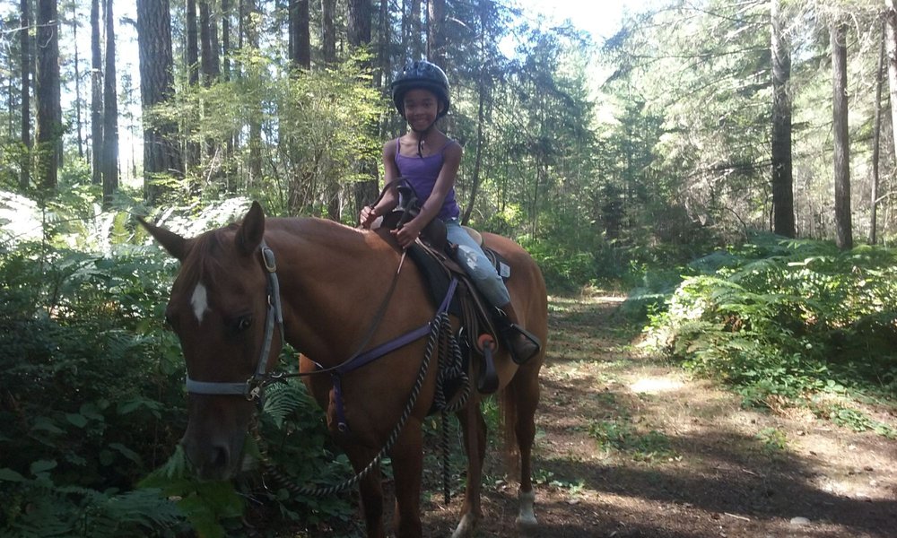 The Whole Horse Place