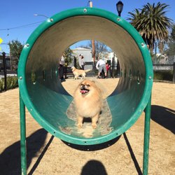 Main Street Dog Agility Park Redwood City Ca Main Street Dog Agility Park Redwood City Ca