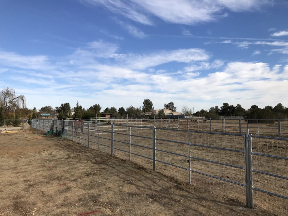 Chaparral Fence