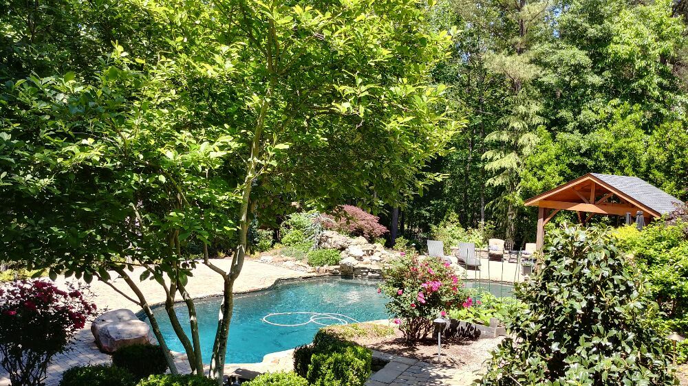 Mosquito Free Solutions