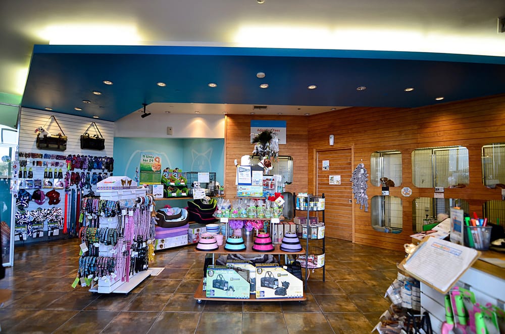 Adopt & Shop 77 Photos & 82 Reviews Pet Training 353 Lakewood