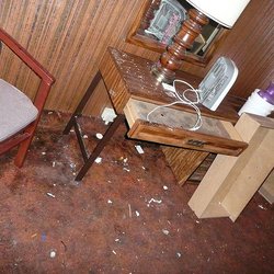 Hotel Seattle 105 Photos 81 Reviews Hotels 315 Seneca St Photo Of Hotel Seattle Wa United States What The Room Looked