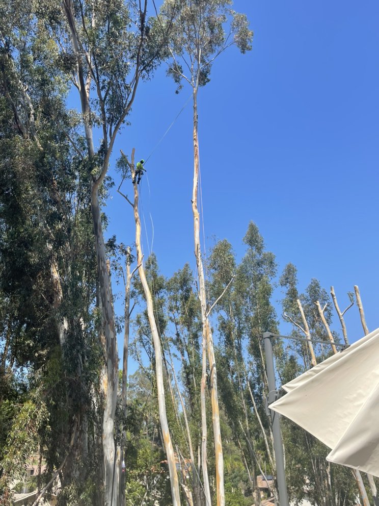 Active Landscape And Tree Service