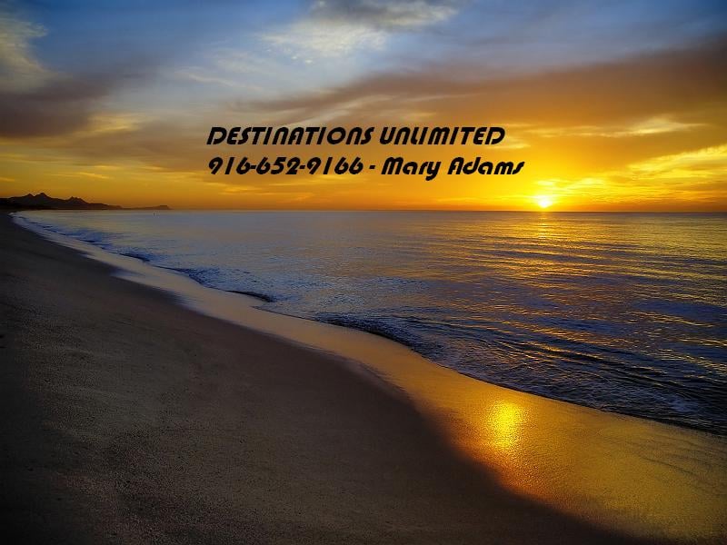 %business_name