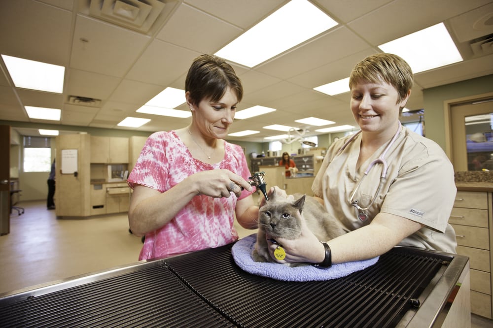 Your kitty or dog will be in good hands with our caring team. Yelp