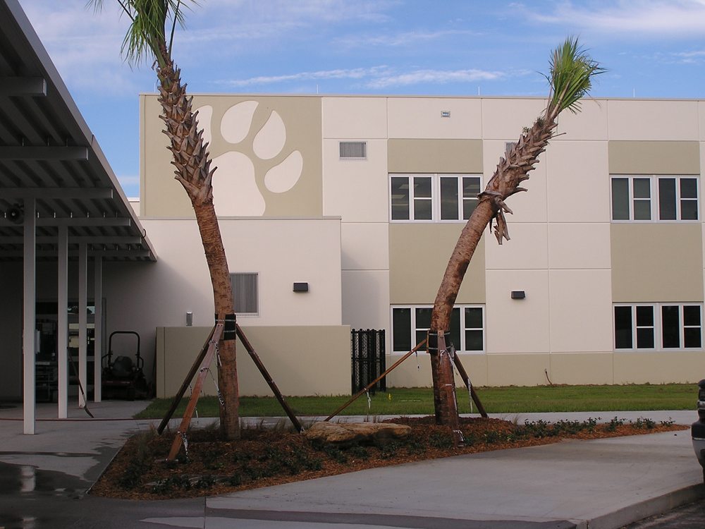 Exotic designs landscaping