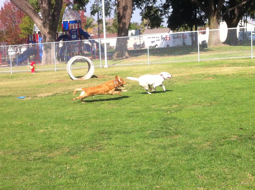 Central Bark Dog Park West Covina Central Bark Dog Park West Covina