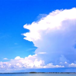 Best Waterfront Restaurants In Dunedin Fl Last Updated December Dunedin Causeway