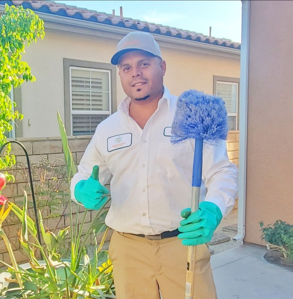 Pestology Pest Control