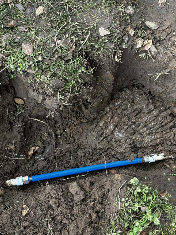 Denali Piping & Mechanical