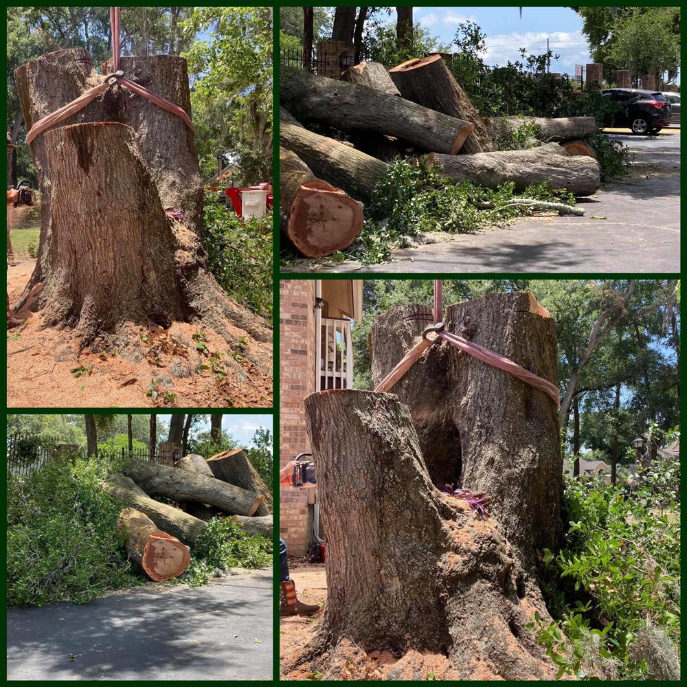 Macs Tree Service