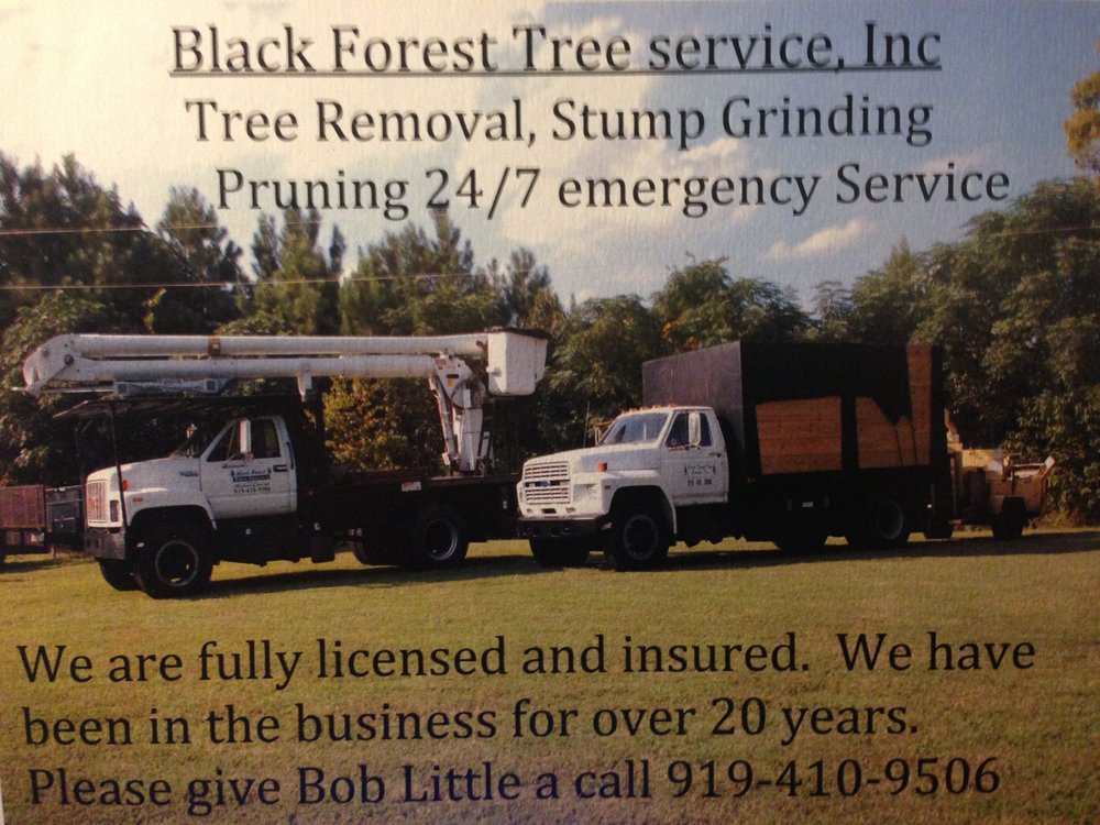 Black Forest Tree Service