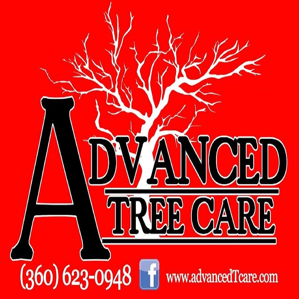Advanced Tree Care