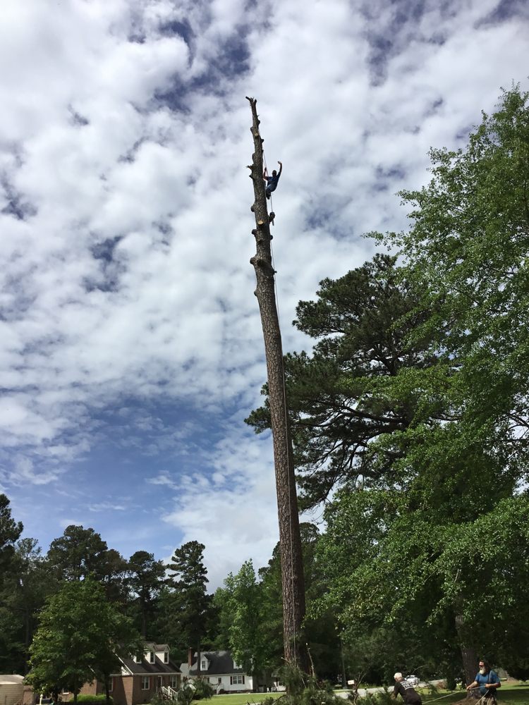 Billy's Tree Services