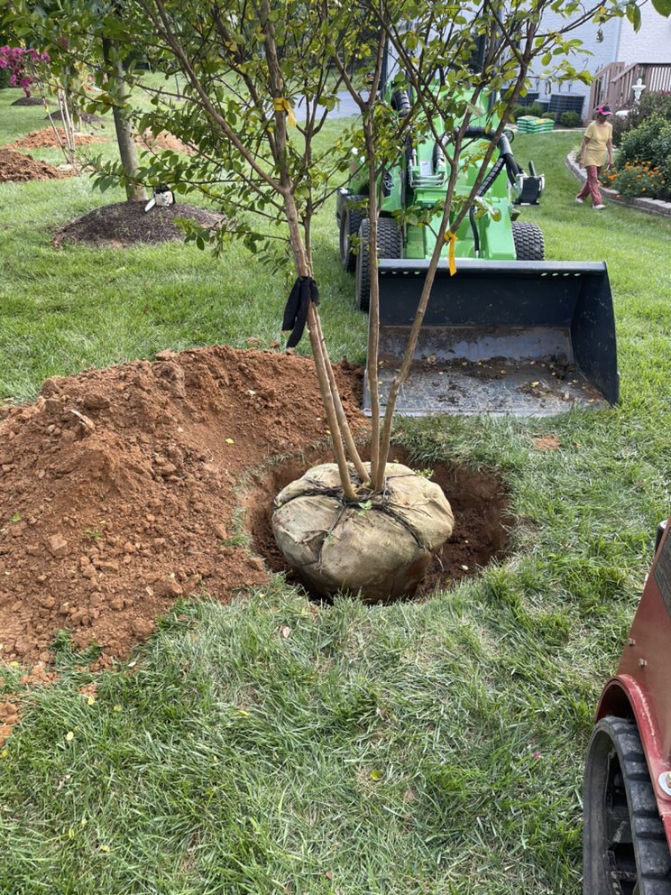 Bautista Landscaping