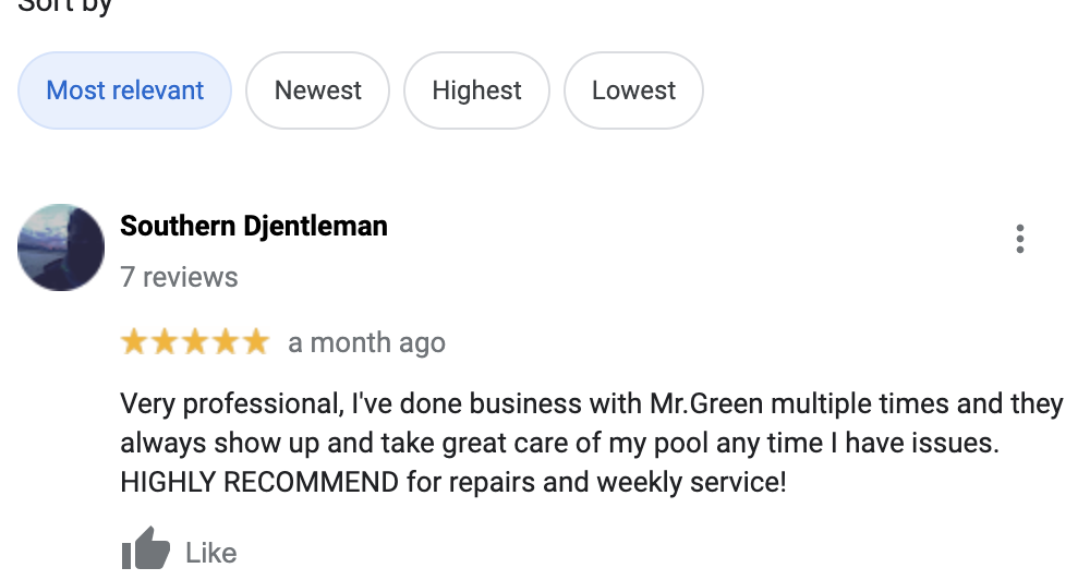 Mr. Green to Clean pool repair