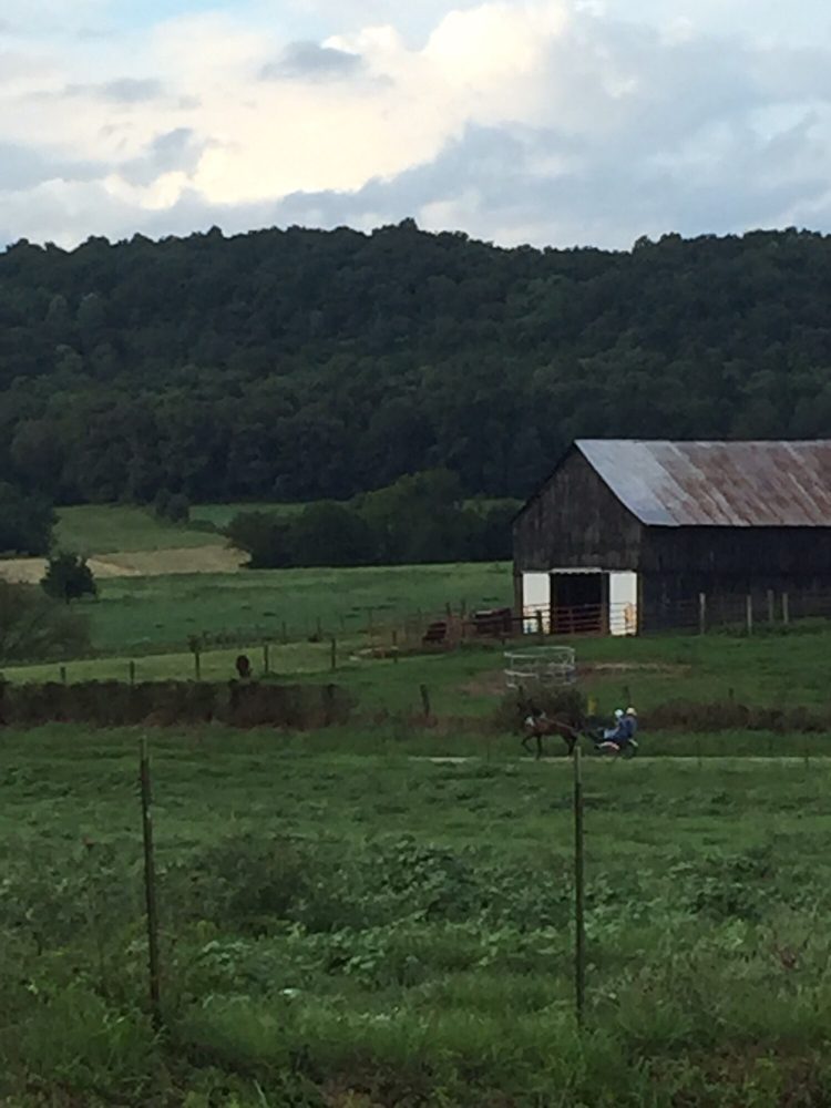 Hampton InnHorse Cave 36 Photos & 14 Reviews Hotels 750 Flint