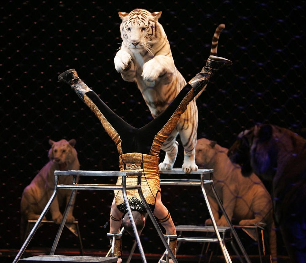 Shrine Circus