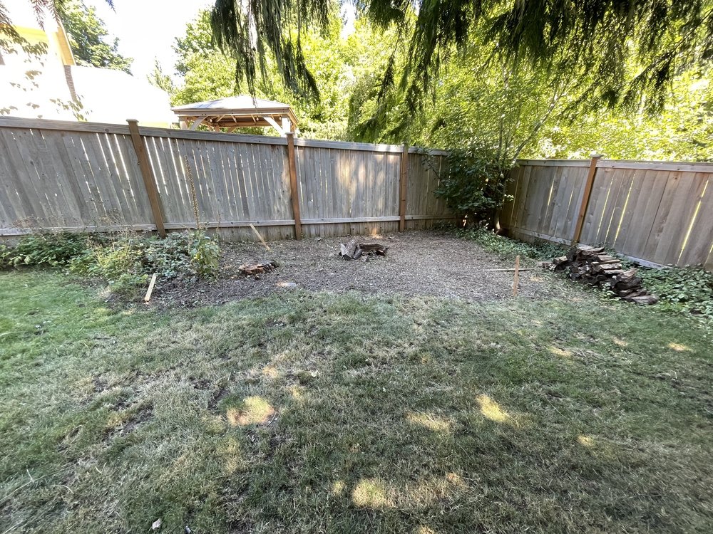 Stump Grinding Northwest