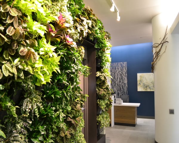 The Interior Foliage Company