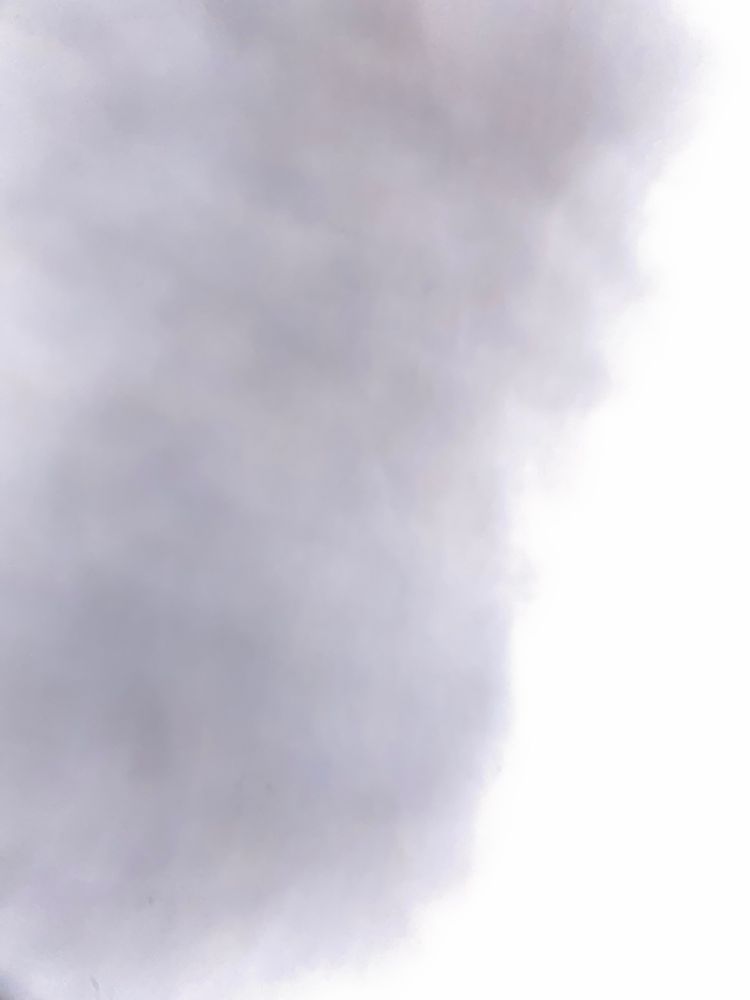 ABC Stores Wake County