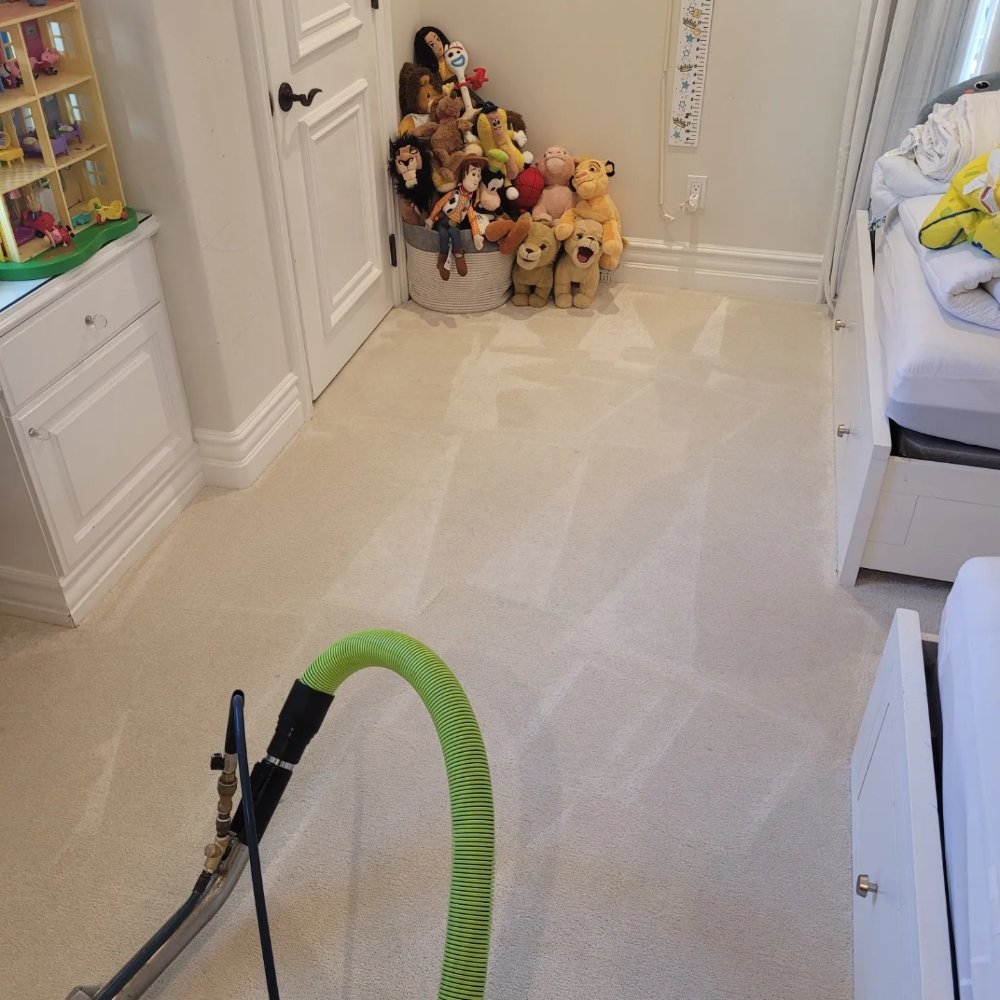 Brodine Steam Cleaning