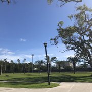 Flamingo Park - 65 Photos & 53 Reviews - Parks - 999 11th St, Miami