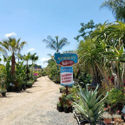 Pala Mesa Nursery 19 Photos 13 Reviews Nurseries Gardening Photo Of Pala Mesa Nursery Fallbrook Ca United States Excellent Inventory