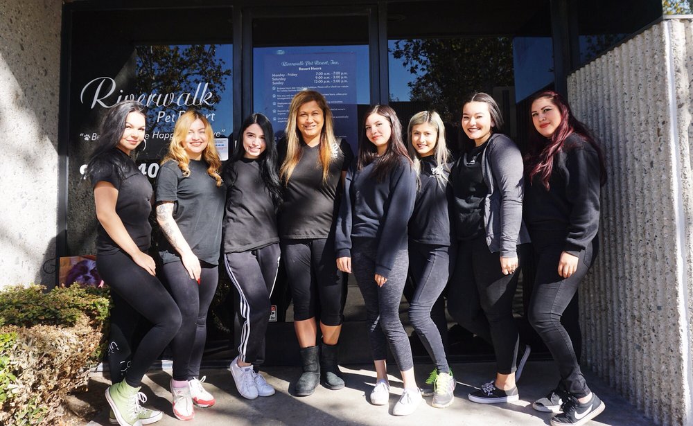 Riverwalk Pet Resort 57 Photos & 91 Reviews Pet Groomers 12111