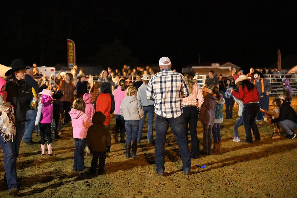 Cavvietta Quarter Horse & Cattle Company