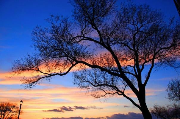 Peaceful Separations