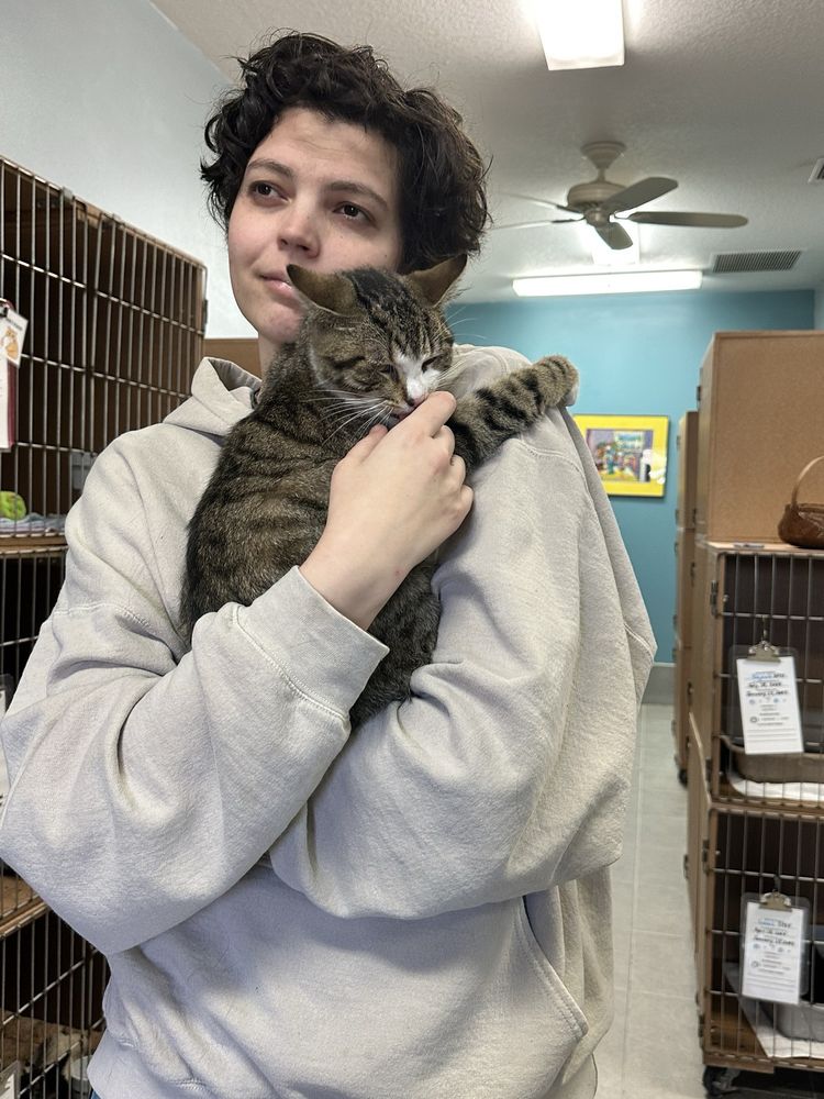 Edgewater Animal Shelter Image