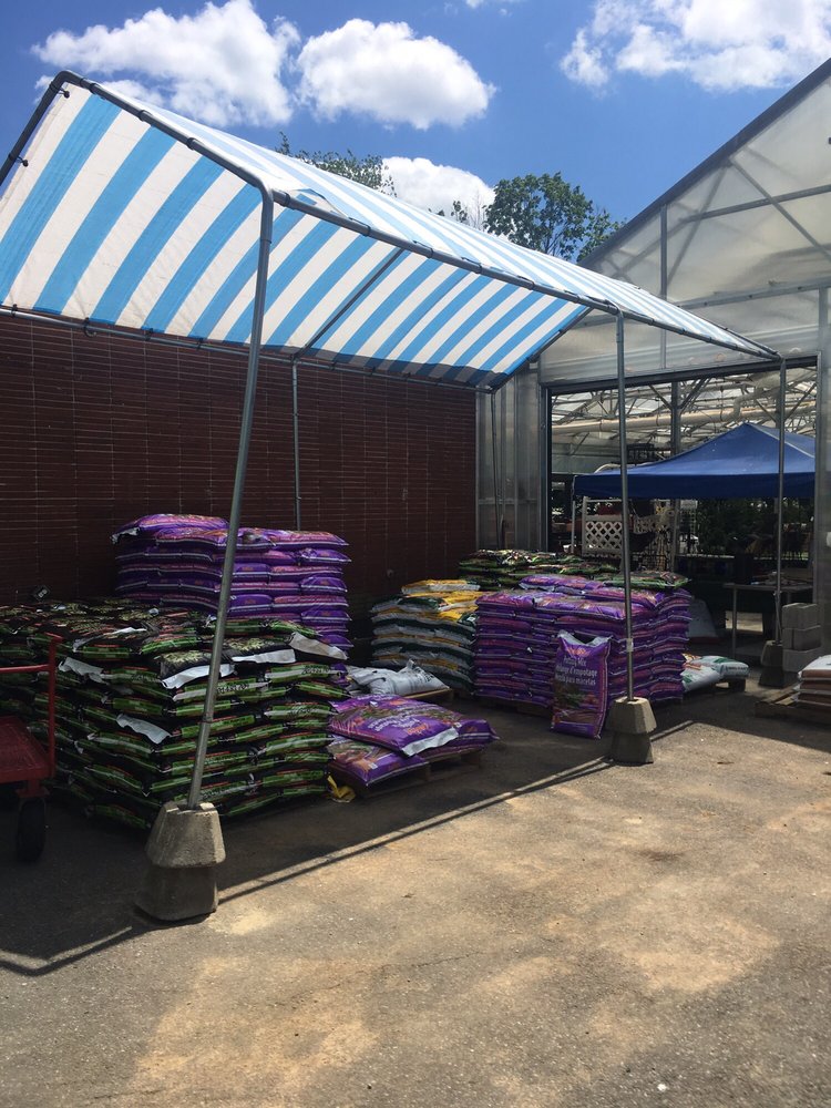 Treeland Garden Center & Nursery