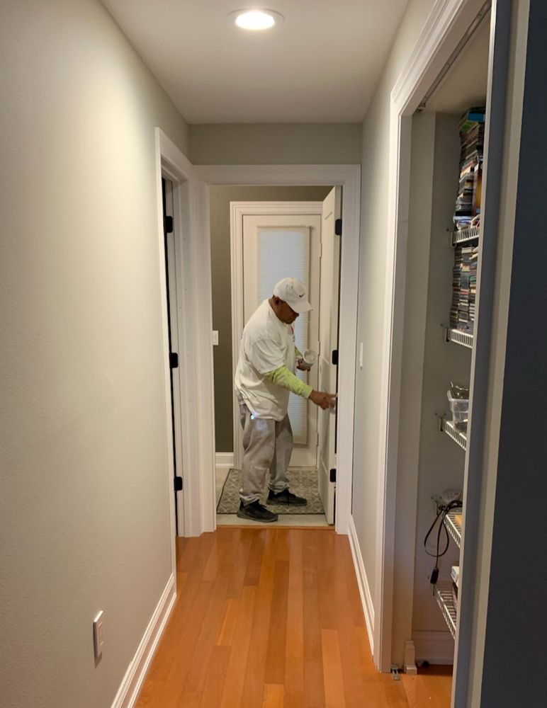 Dand Painting