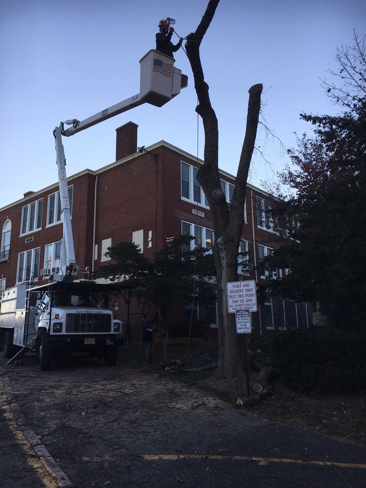 E&B Tree Care