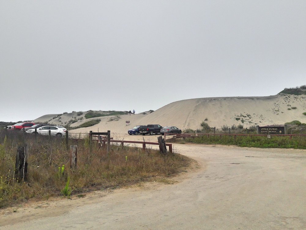 Zmudowski State Beach 21 Photos & 19 Reviews Beaches 200 Giberson