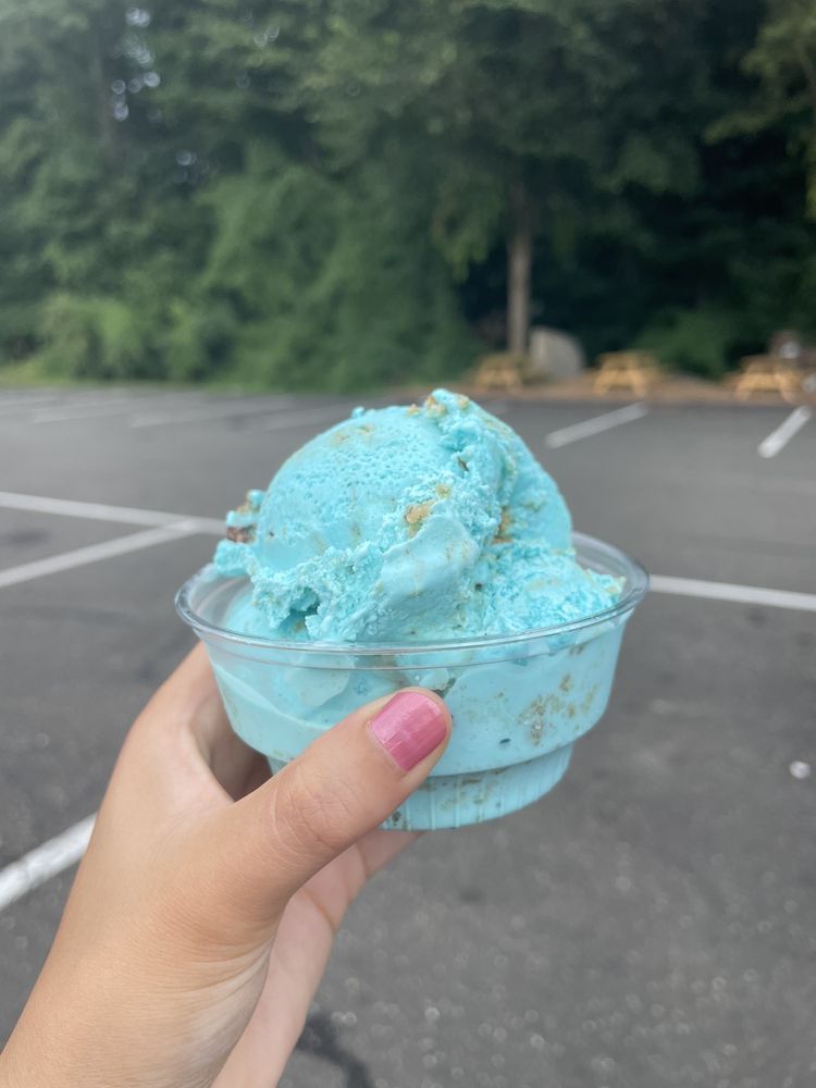 Gofer Ice Cream - Stamford