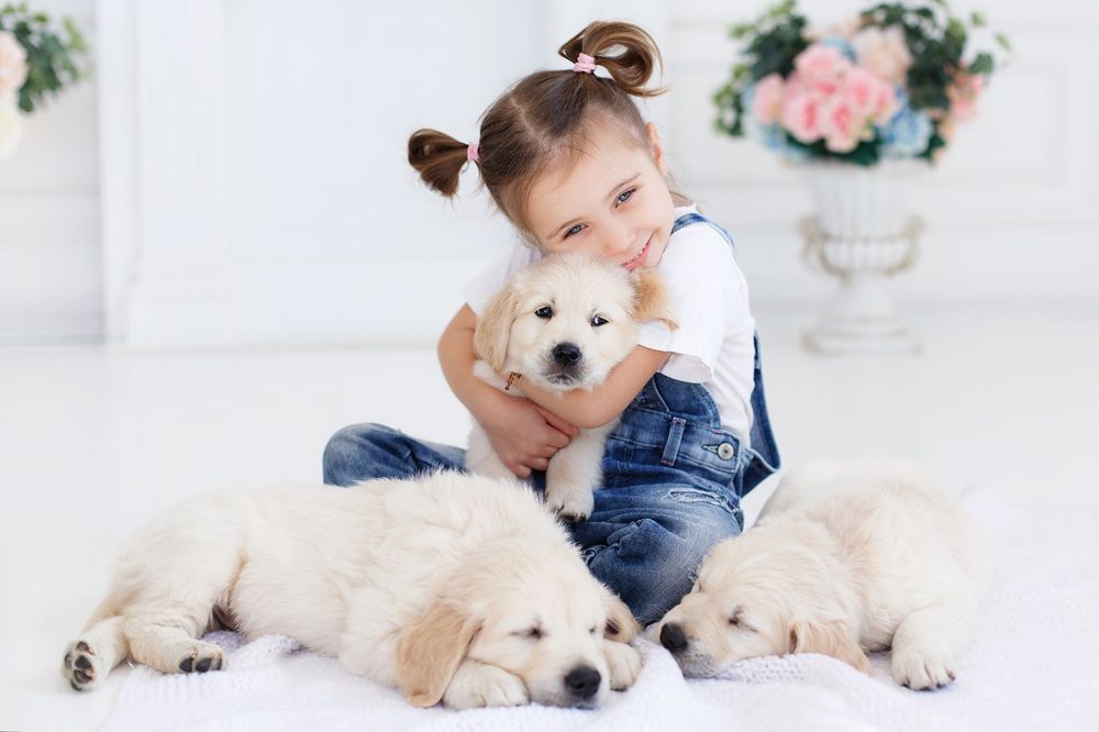 Nessy's Puppies of Kendall Image